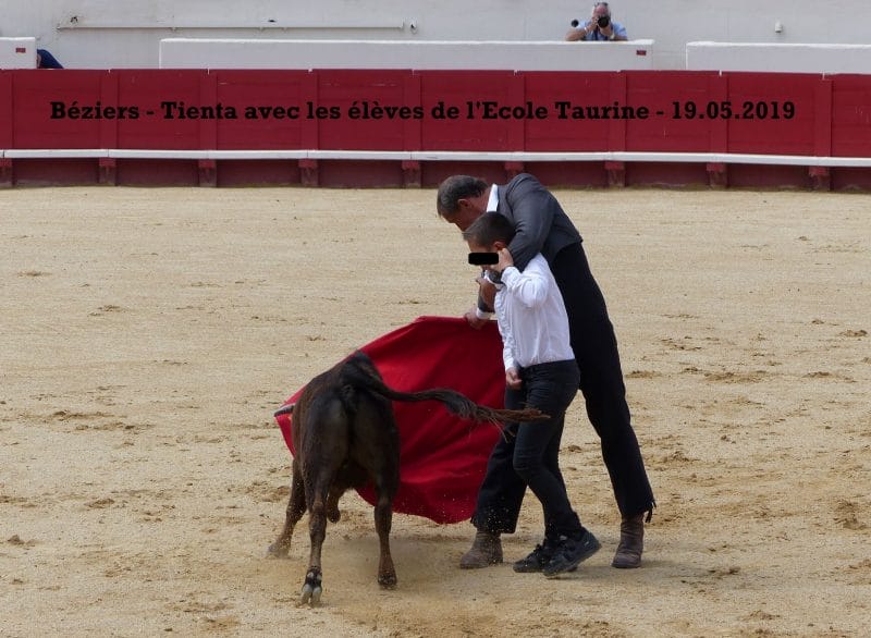 un homme, un enfant et un veau