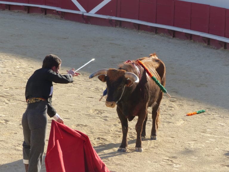 un homme avec une épée et un taureau