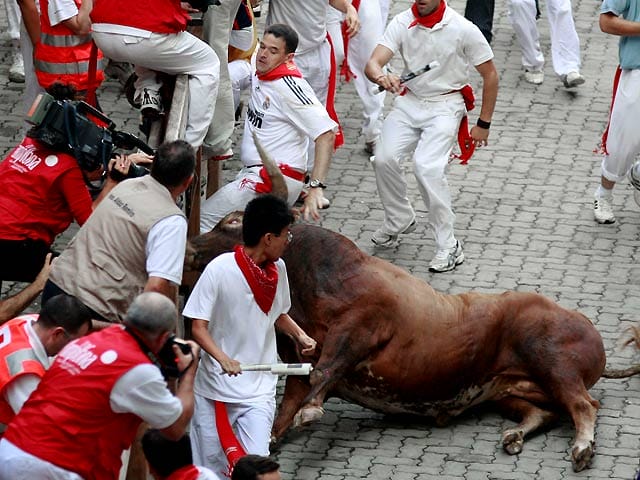 un taureau et des gens