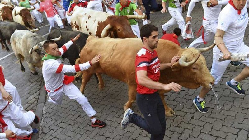 un taureau dans une foule de gens