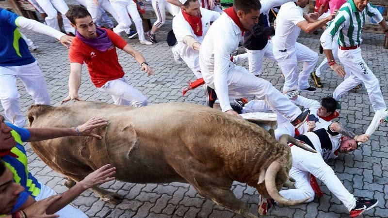 un taureau parmi la foule