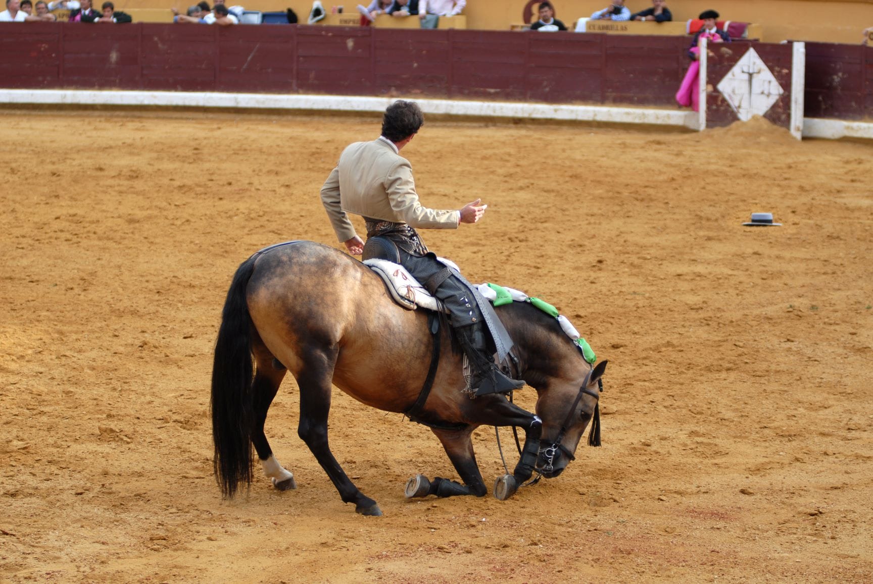 un cheval à genoux