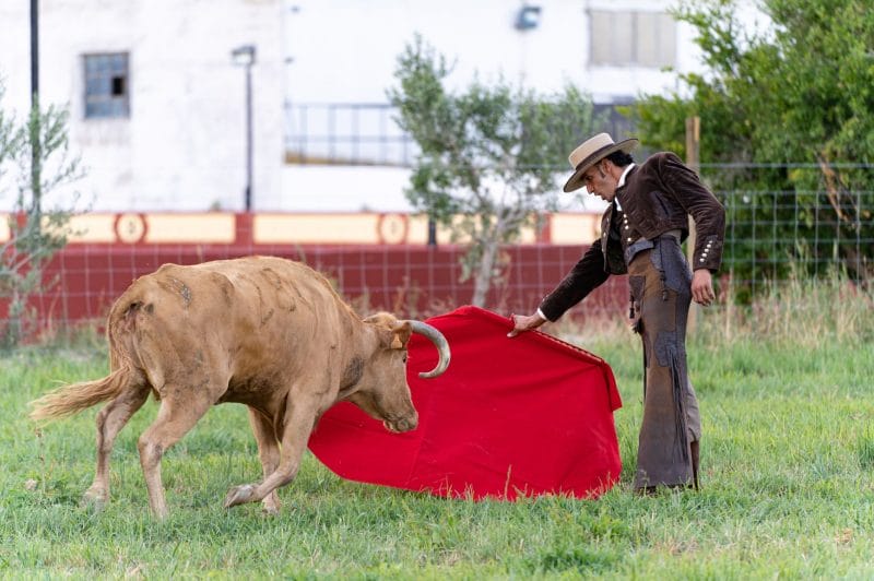 un homme avec une cape rouge devant un taureau