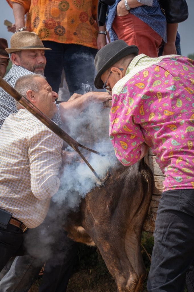 des hommes et un fer chaud