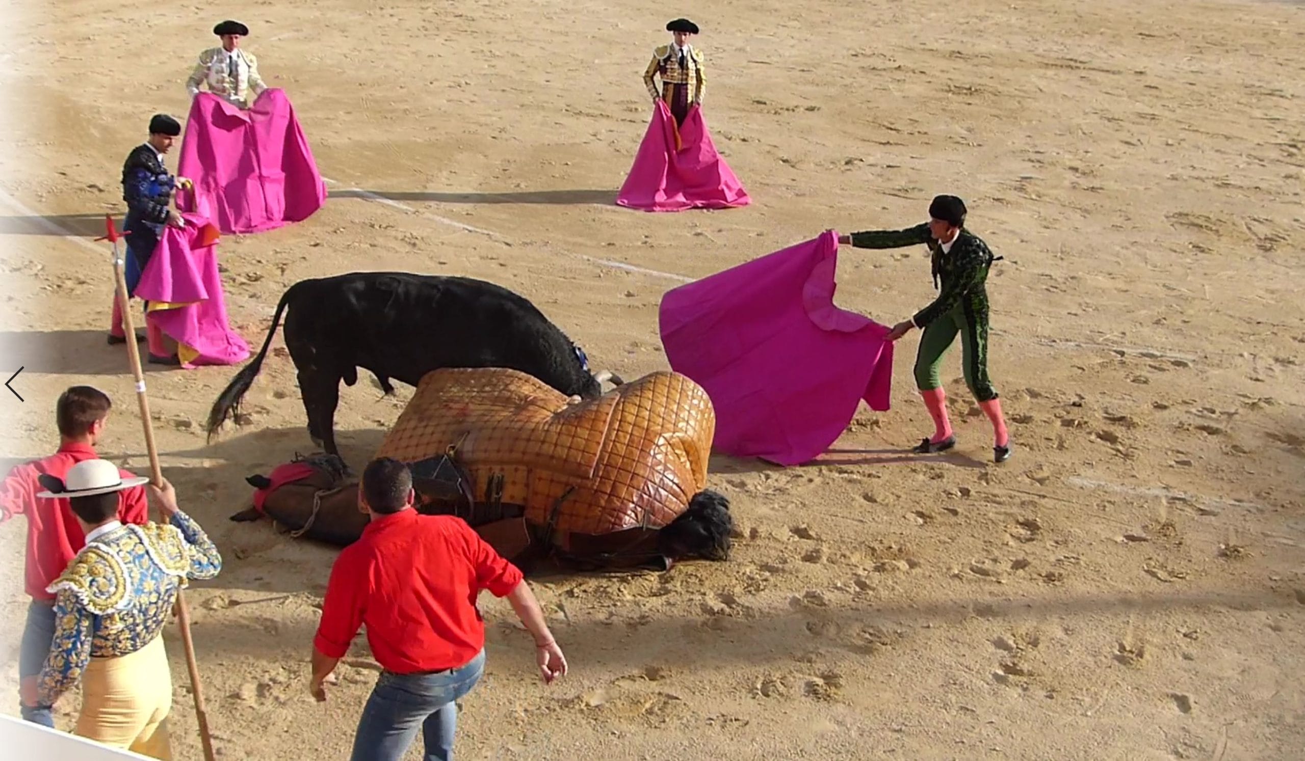 un cheval couché un taureau et des hommes