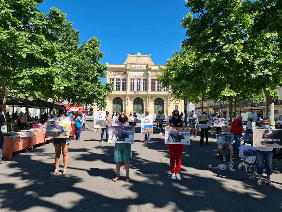 des personnes tiennent des pancartes