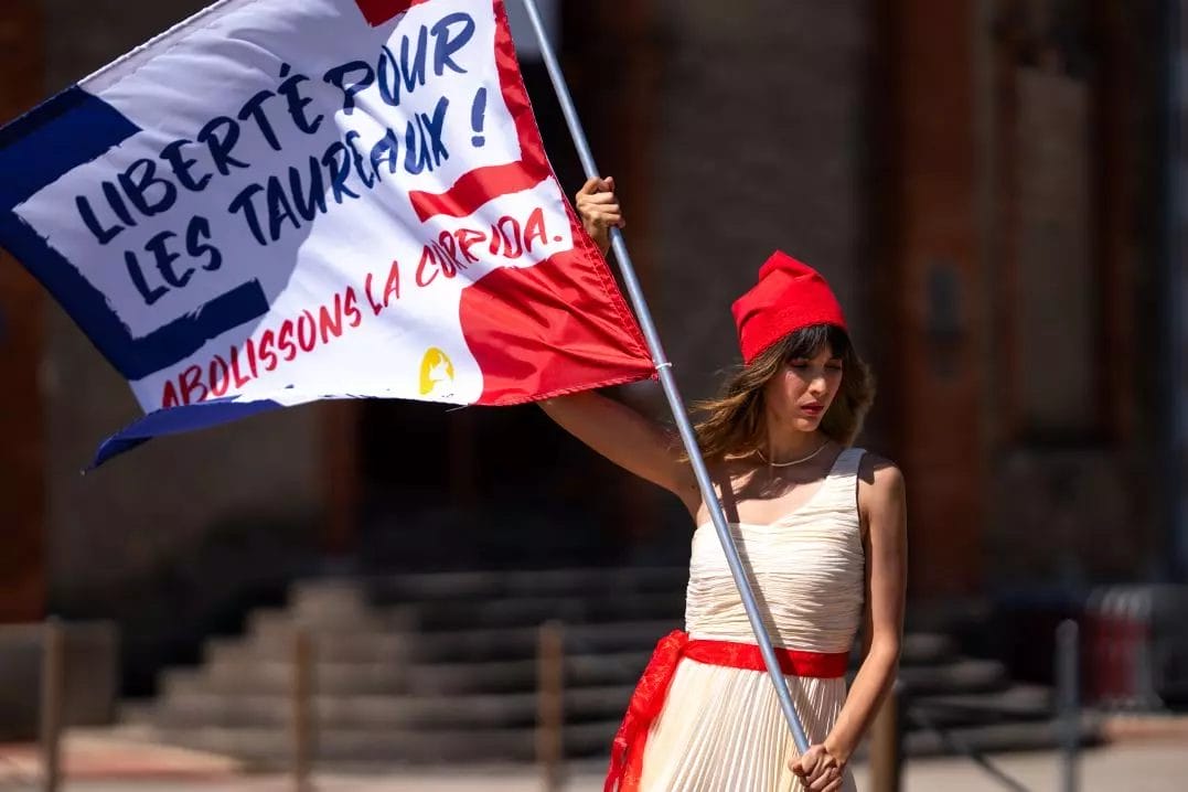 20230713_Liberté pour les taureaux (4)