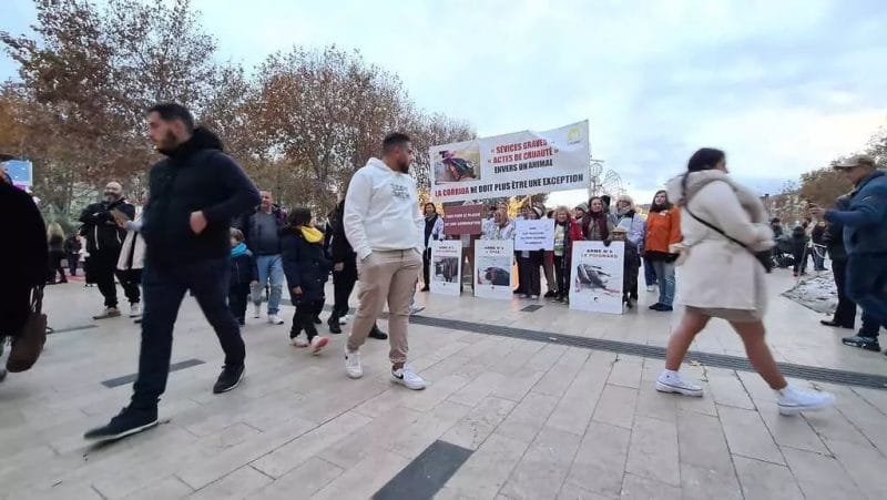 20231209_manifestation_droits_animaux_réduites_site (18)