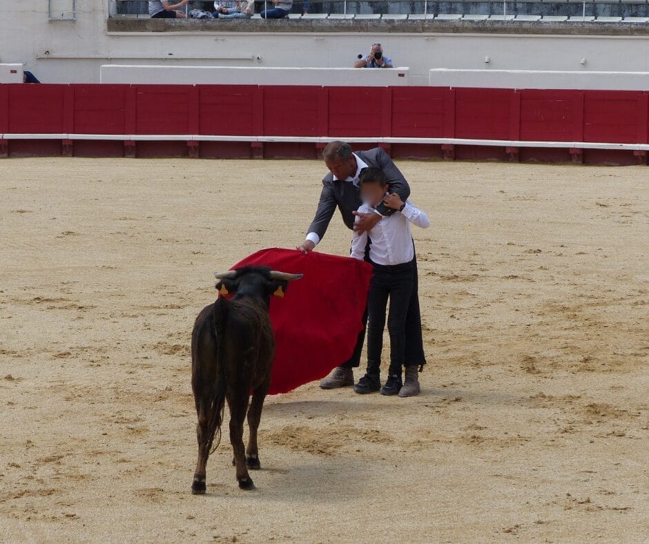 Nouvelle proposition de loi visant l'interdiction des corridas aux ...